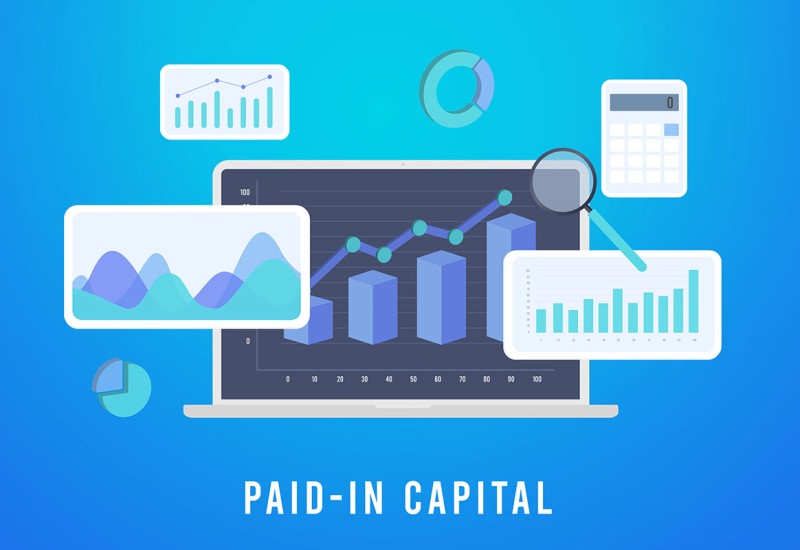 オフショア法人における払込資本金の実務と税務上の注意点